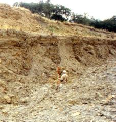 Ore Pits at Sharpthorne