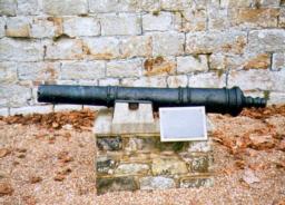 Cannon