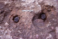 Bardown, feature A/4 – B3/2  Postholes with posts: photo H. Cleere