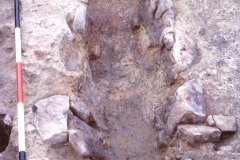 Bardown, feature A/18-B3/2 ore-roasting furnace II: photo H. Cleere