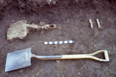 Bardown, remains of a Roman iron shovel with modern shovel for comparison: photo H. Cleere