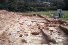 Bardown, general view of  excavations: photo H. Cleere