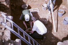 Lifting a cattle skull in Room IX - apodyterium: photo A. Chatwin