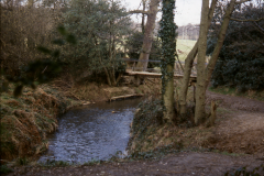 Site of forge before excavation: photo Chris Place