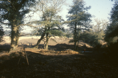 General view of excavation: photo Chris Place