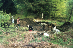 General view of excavation: photo anon