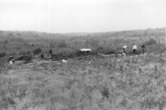 Cow Park, 1976, general view of excavation: photo anon