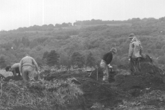 Cow Park, 1977, excavation: photo anon
