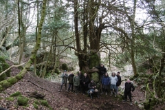 WIRG Members in Lambsquay Wood