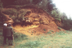 A small quarry near Rainvillers, SW of Beauvais.