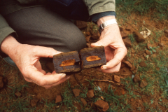 An example of iron ore near Rainvillers