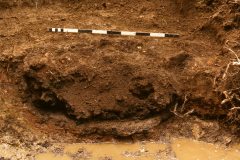 Furnace 2 before excavation: photo J. Hodgkinson