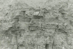 The quarry face at Sharpthorne brickworks