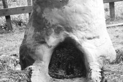 Bloomery furnace tapping arch