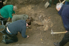 Little Furnace Wood, Oct 2003, Furnace 1 beginning to emerge: photo J. Hodgkinson