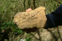 Little Furnace Wood, Apr 2007, Double tuyere side view: photo J. Hodgkinson