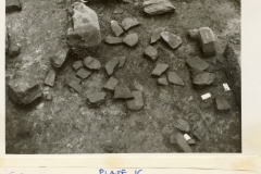 Minepit Wood, Site C, Dump of Shelly Limestone and description by James Money (photo courtesy of Tunbridge Wells Museum)