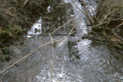 View of the site with stream in spate: photo J. Hodgkinson