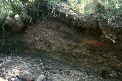 Eroded stream bank section of slag heap 1989: photo R. Barnes