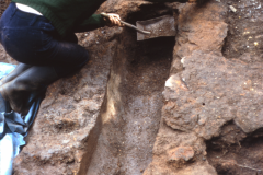 Excavating the pig beds: photo D. Meades