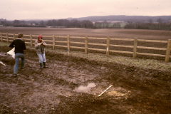 Roffey, possible smithing hearth base (Dot Meades to left): photo J. Hodgkinson