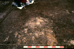 Roffey, possible smithing hearth base during excavation: photo J. Hodgkinson