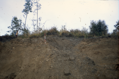 Section of quarry face showing a filled-in minepit: photo F. Tebbutt