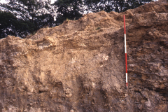 Section of quarry face showing a filled-in minepit: photo J. Hodgkinson