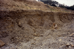 General view of quarry face showing sections of minepits: photo J. Hodgkinson