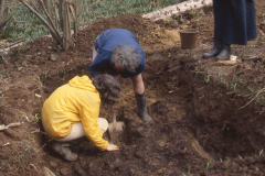 Excavation in progress: photo J. Hodgkinson