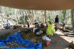 Thorp's Wood excavation 2013: photo J. Hodgkinson