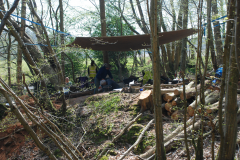 Thorp's Wood excavation 2013: photo J. Hodgkinson