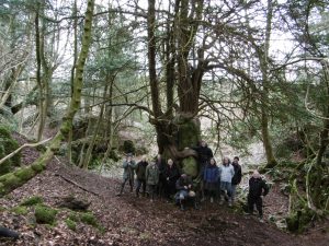 WIRG Members in Lambsquay Wood